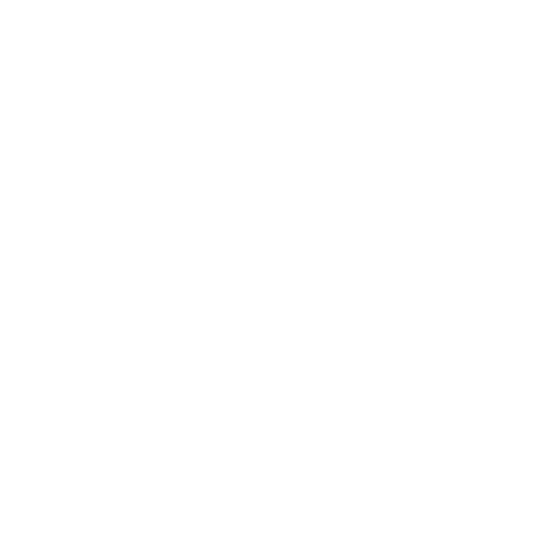 Logo LinkedIn footer Terza México